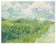 "Green Wheat Fields, Auvers, 1890" Paper Print by Vincent van Gogh, 18"x14"