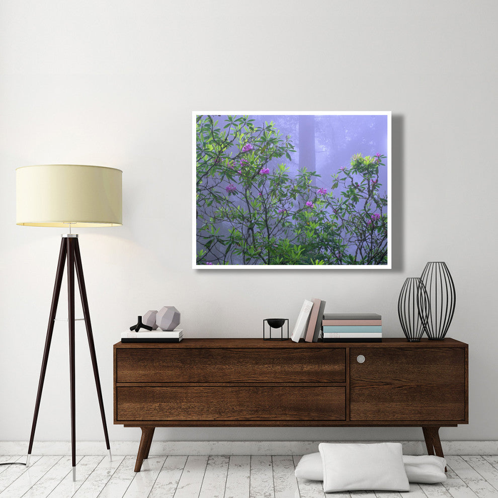 "Pacific Rhododendrons in redwood forest, Del Norte Coast" Paper Art, 50"x38"