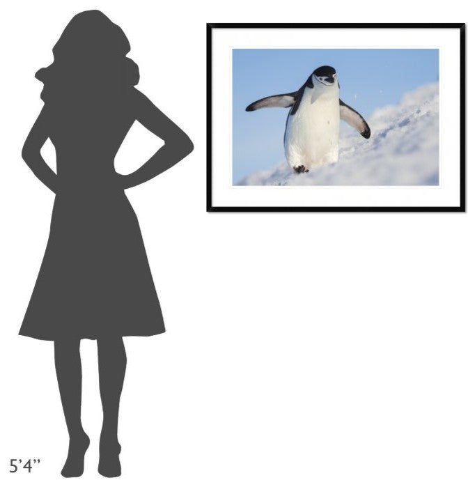 "Running Up That Hill" Framed Digital Print by Hillebrand Breuker, 38"x28"