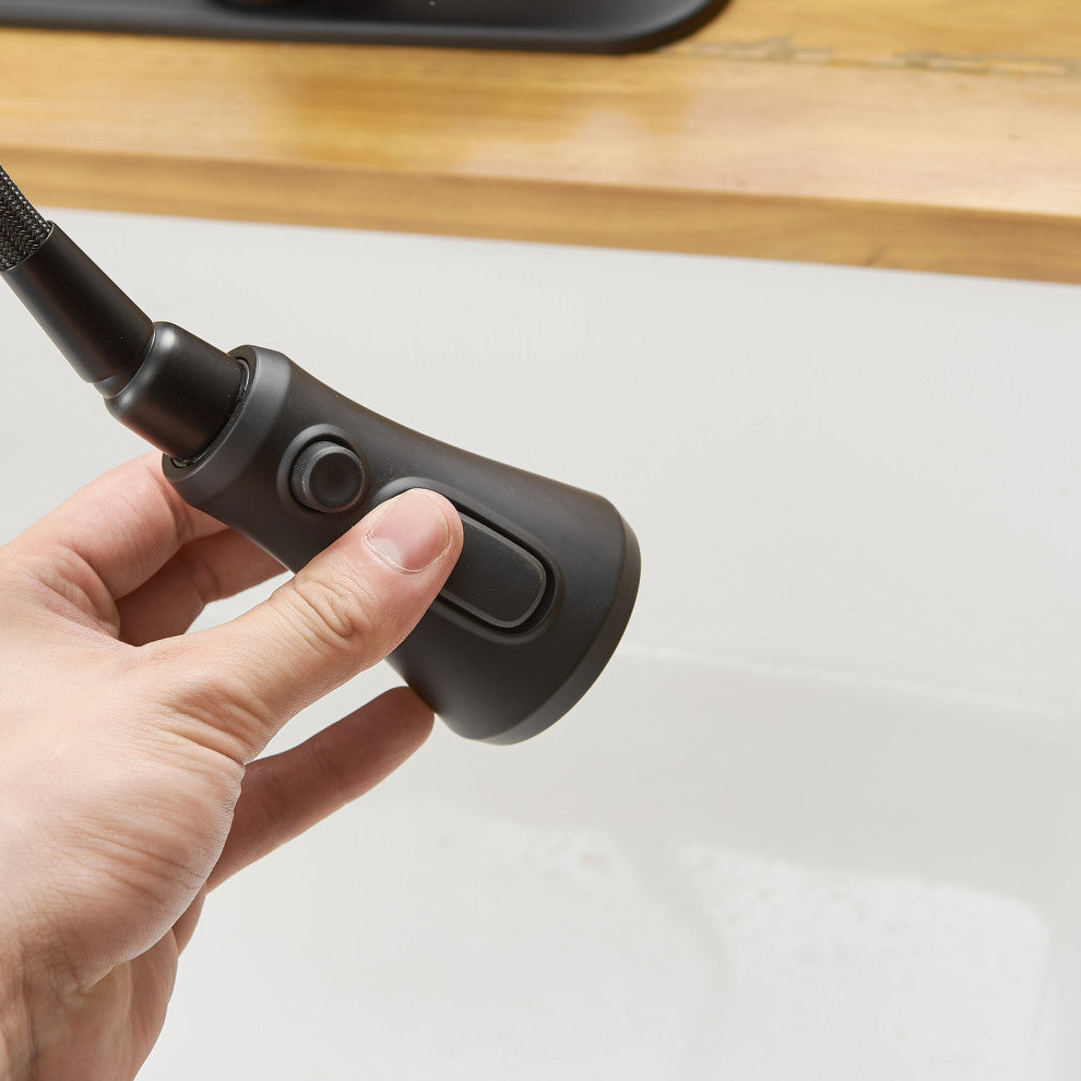Wellfor Single Level Stainless Steel Kitchen Faucet With Pull Down Spray, Matte Black