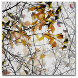 Gilbert Claes 'Autumn Song' Canvas Art, 35x35