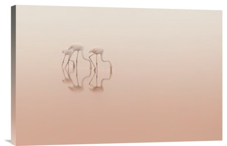 "Pink Silence" Stretched Canvas Giclee by Natalia Rublina, 24"x16"