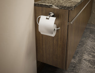 Dia Toilet Paper Holder With Cover, Chrome