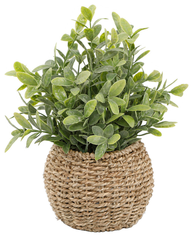Tealeaf In 6" Basket