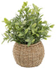 Tealeaf In 6" Basket