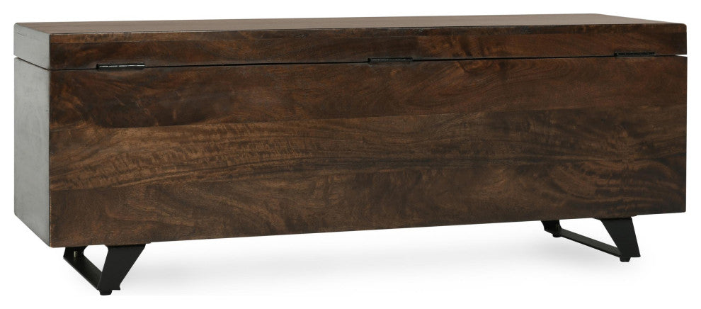 Axis 46" Storage Trunk by Kosas Home, Dark Brown
