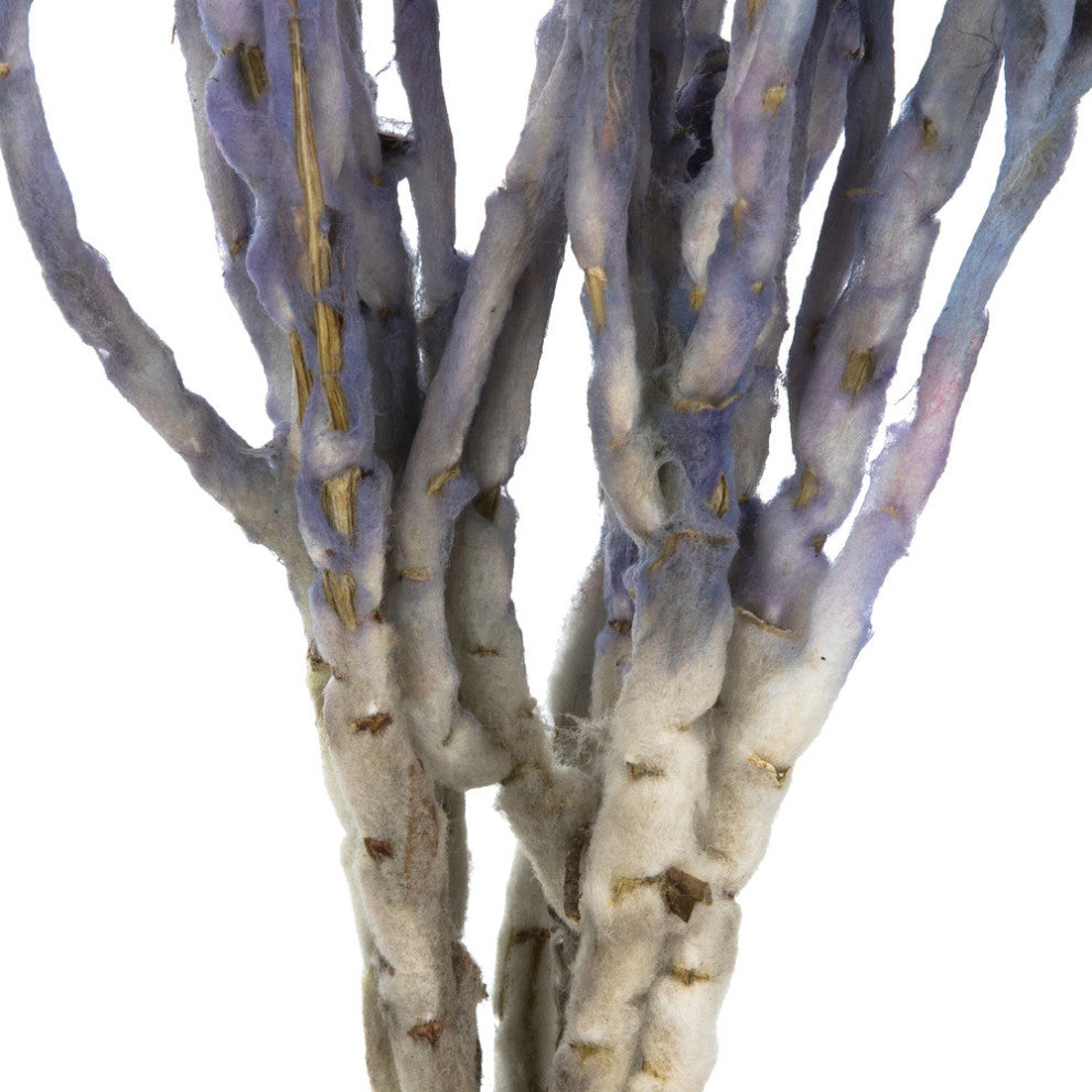 Vickerman Natural Everlasting Flowers, Dried