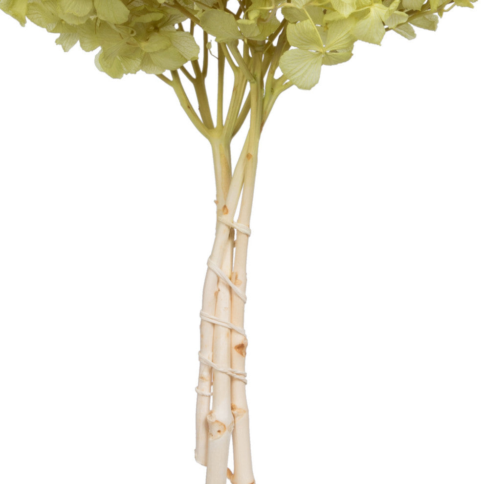 Vickerman Natural Botanicals 15 Hydrangea With Multiple Branch Segments