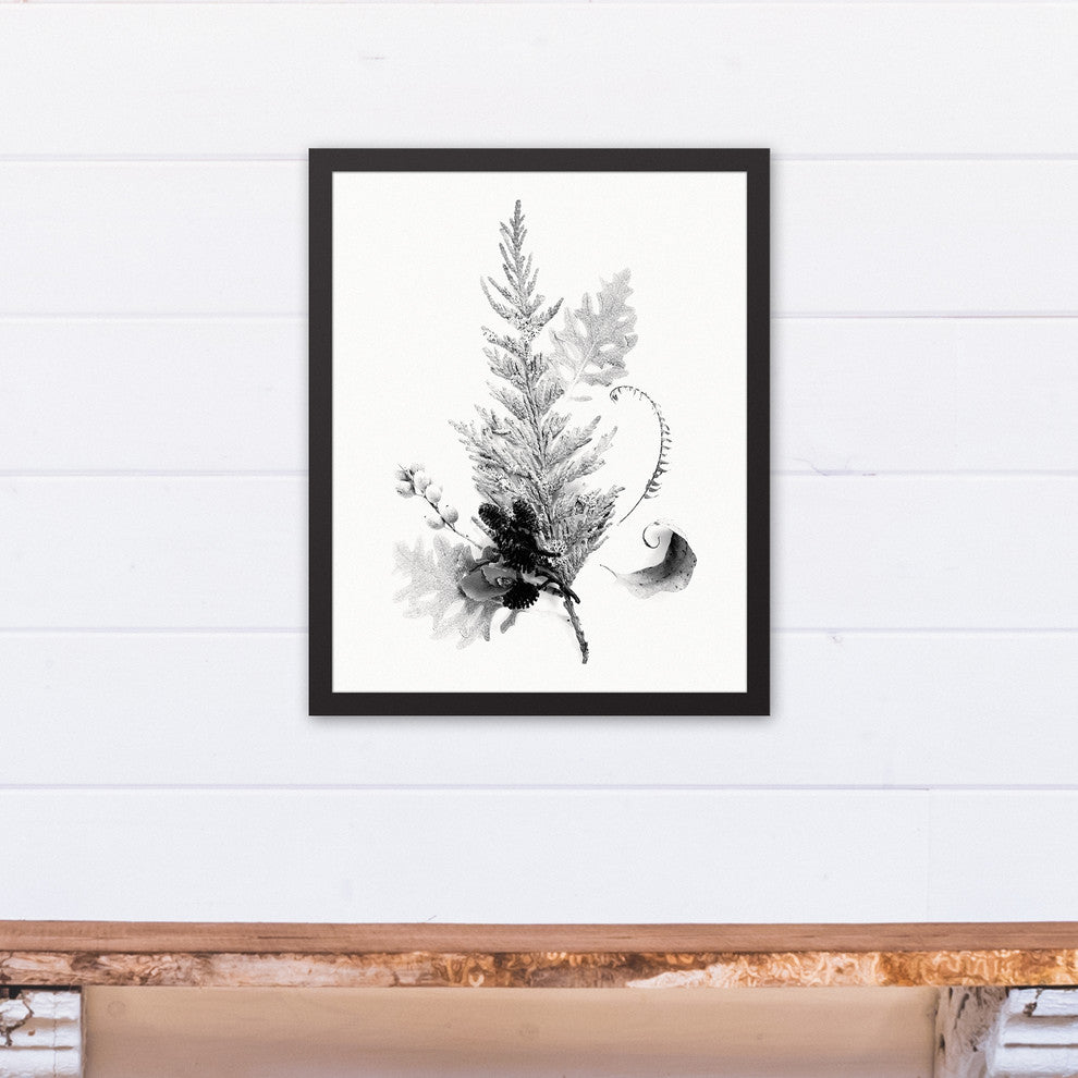 Black and White Transparent Fern 16x20 Black Framed Canvas