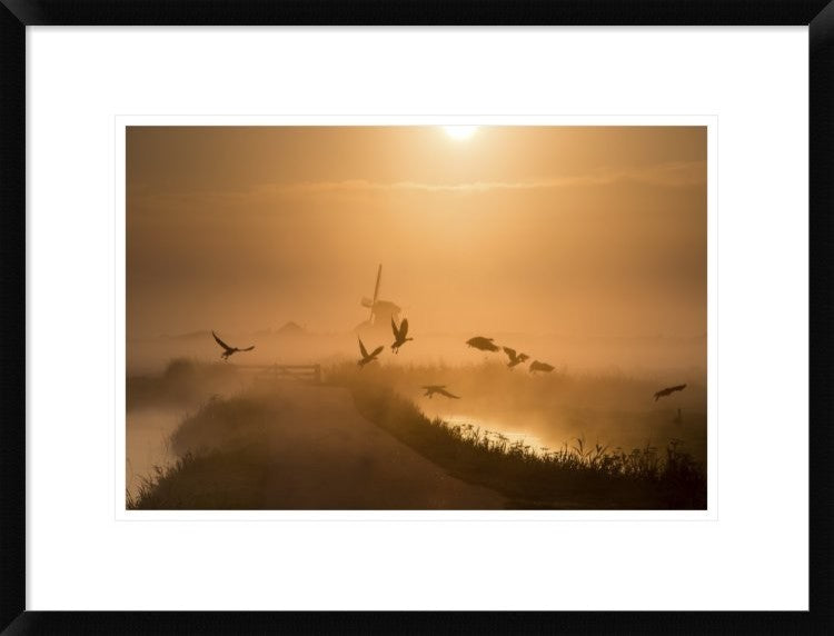 "Sunrise Flight" Framed Digital Print by Harm Klaverdijk, 26"x20"