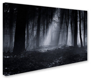Julien Oncete 'Capela Forest' Canvas Art, 16x24