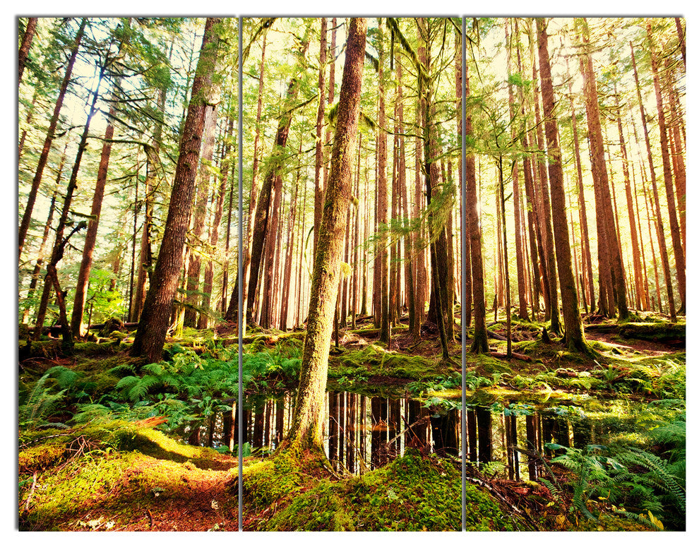 Dense Trees in Green Rain Forest, Landscape Triptych Canvas Art, 36x28, 3 Panels