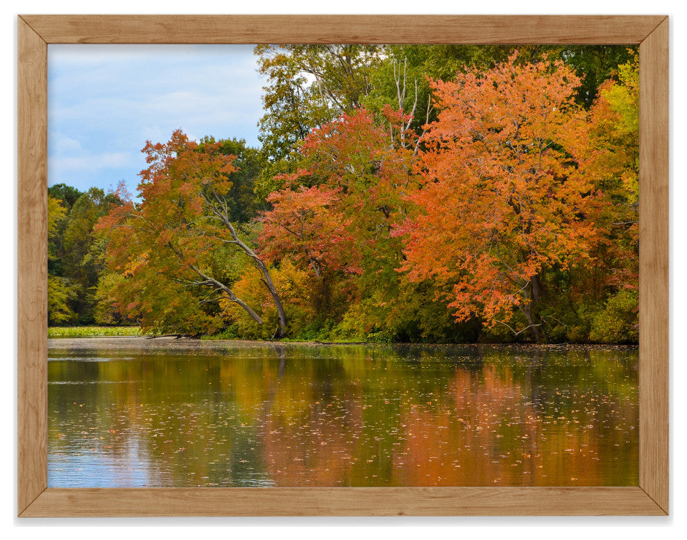 Autumn Tree Line Rural Landscape Framed Photo Paper Wall Art Prints, Red Oak, 8" X 10"