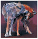 Mark Adlington ''Two Wolves'' Canvas Art, 24"x24"