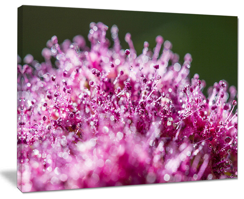 "Pink Little Flowers Close-Up View" Floral Wall Art, 20"x12"