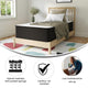 Dream 12 Inch Hybrid Mattress in a Box - -Twin
