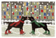 Frontporch Holiday Ice Dogs Indoor/Outdoor Rug Multi 2'6x4'