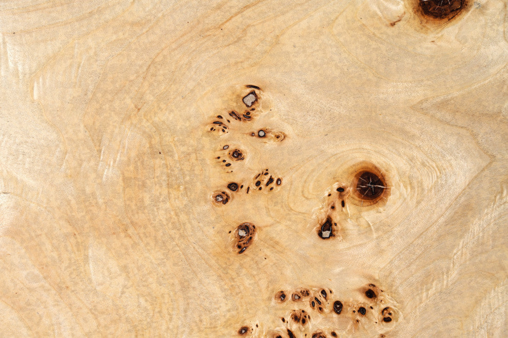 Modrest July Modern Mapa Burl Round Coffee Table