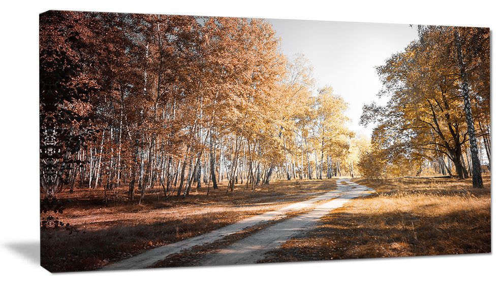 Straight Road in Fall Birch Grove, Modern Forest Canvas Art, 32"x16"
