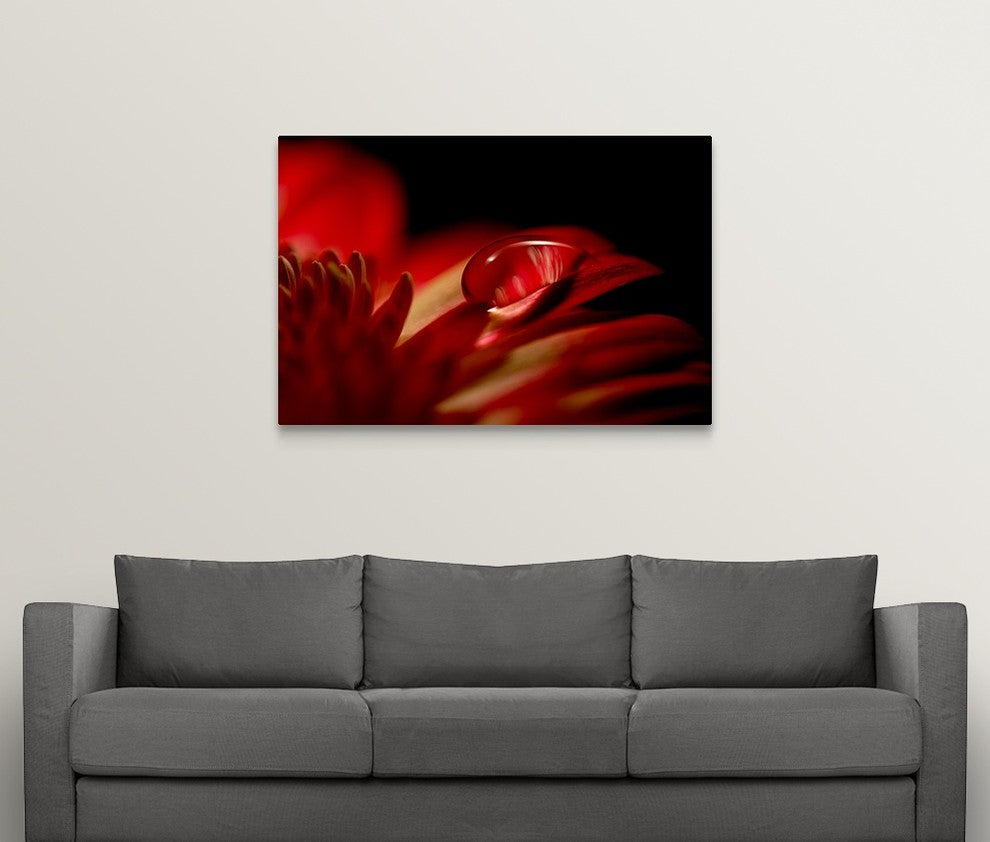 "Red Drop" Wrapped Canvas Art Print, 48"x32"x1.5"