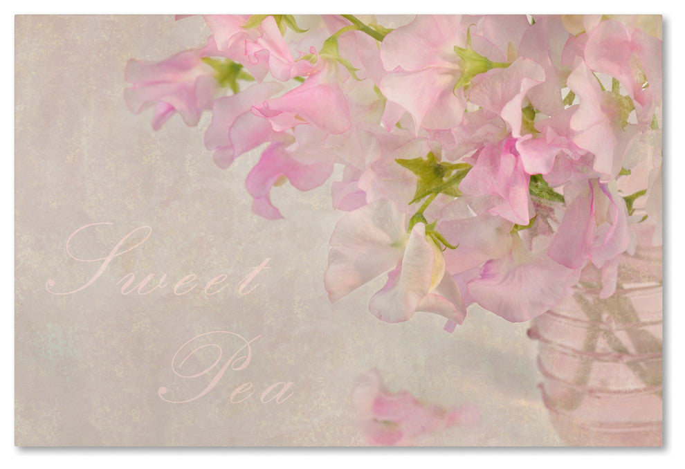 Cora Niele ''Sweet Pea'' Canvas Art