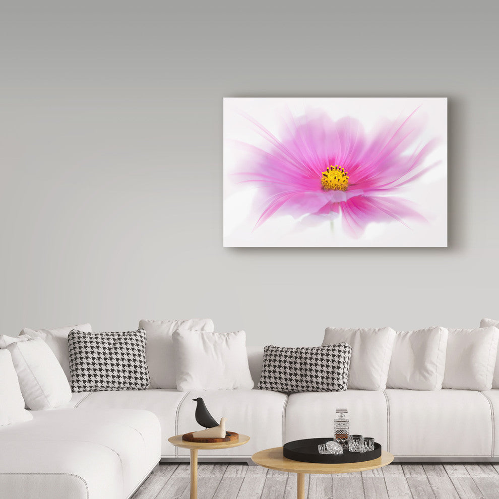 "Dancing Flower Deep Pink Cosmos" by Cora Niele, Canvas Art, 22"x32"