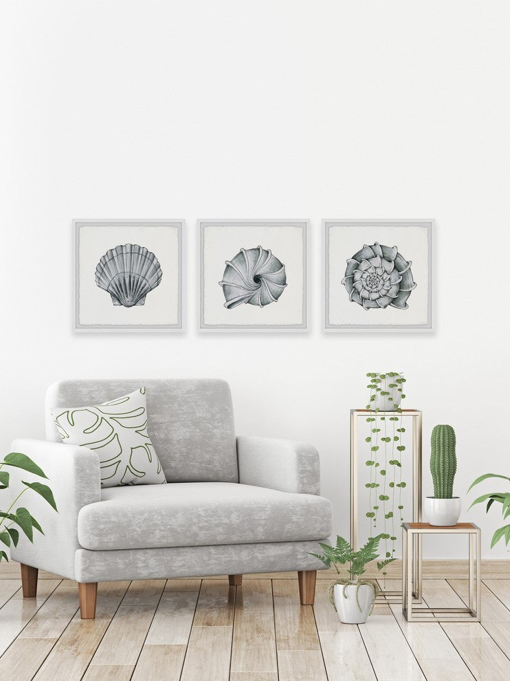 Pretty Shells Triptych, 96"x32"