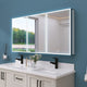 60'' W 30'' H Recessed Frameless Medicine Cabinet Mirror 9 Adjustable