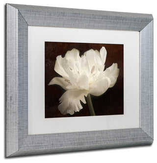 Cora Niele 'White Tulip II' Matted Framed Art