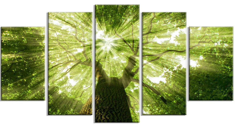 Sunlight Peeking through Green Tree, Landscape Canvas Print, 60"x32", 5 Panels
