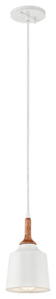 Kichler Danika 1 Light Mini Pendant in White