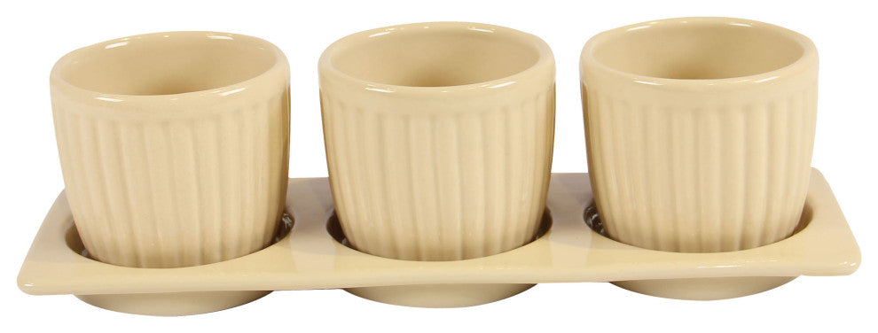 Gerbera Planter Set with Tray, Cream