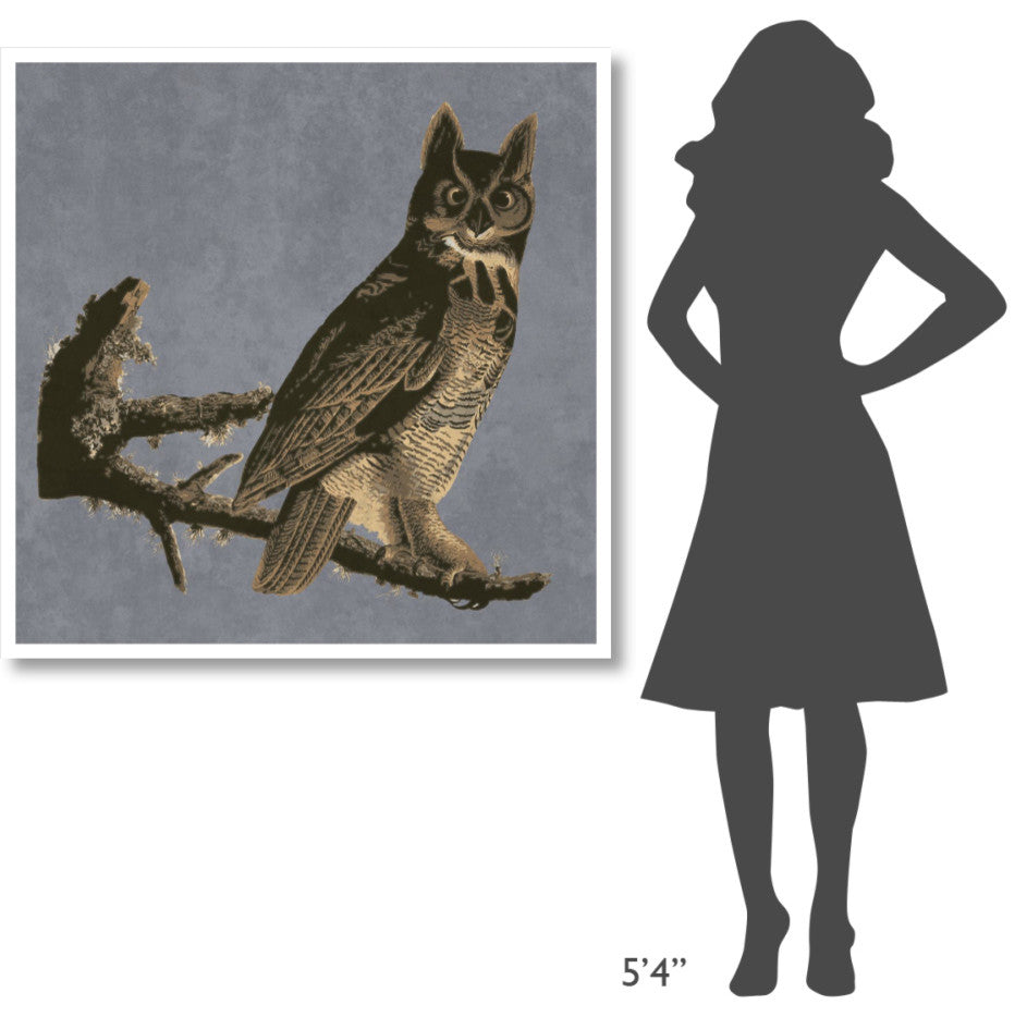 "Audubon Decor - Horned Owl Detail" Digital Paper Print by BG.Studio, 42"x42"