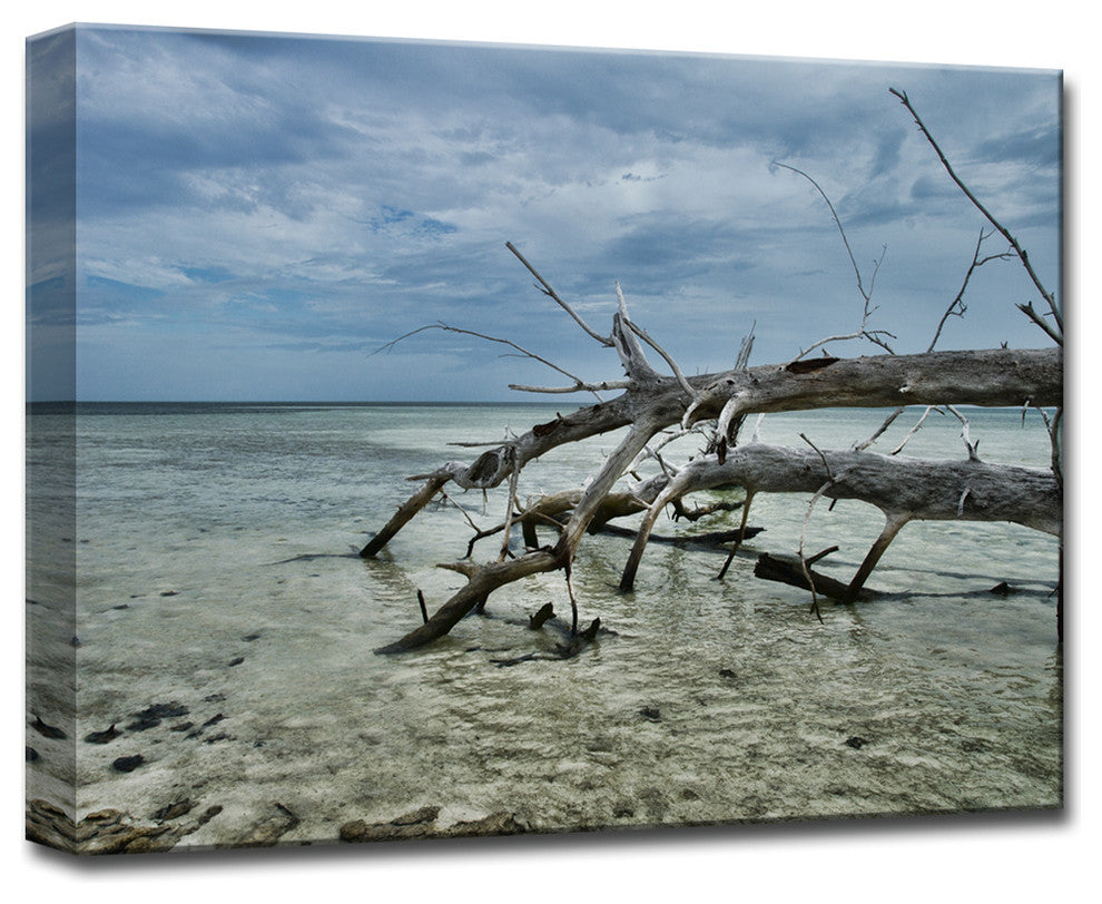 Ready2HangArt ''Blue Mist I'' by Christopher Doherty