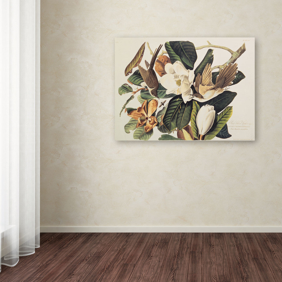 'Black-Billed Cuckoo' Canvas Art by John James Audubon