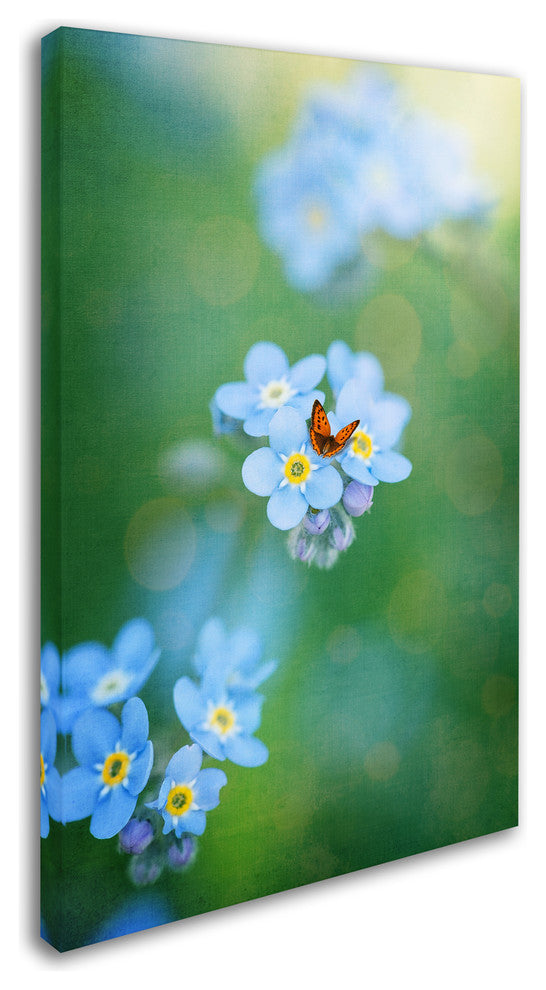 Philippe Sainte-Laudy ''Forget-Me-Not'' Canvas Art, 30x47
