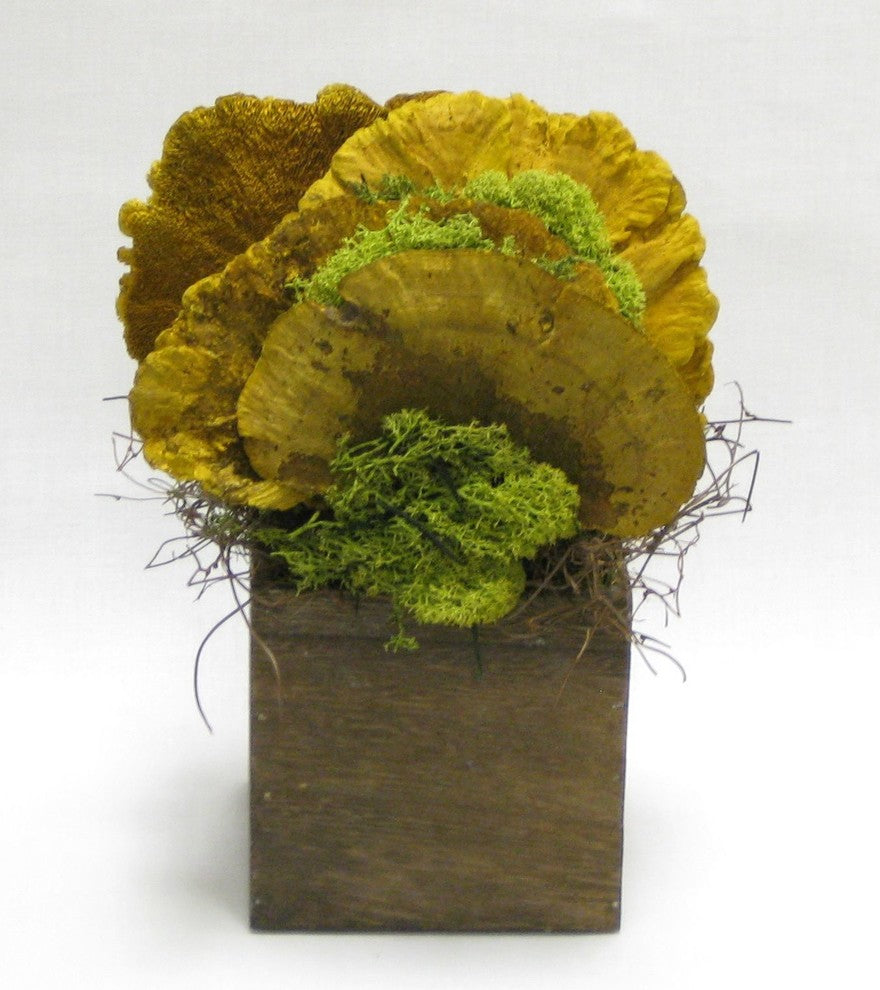 Wooden Cube Brown Stain, Sponge Mushrooms Yellow, Yellow