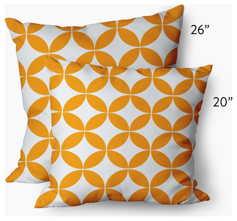 Eye Opener Decorative Throw Pillow, Mango, 20"x20"