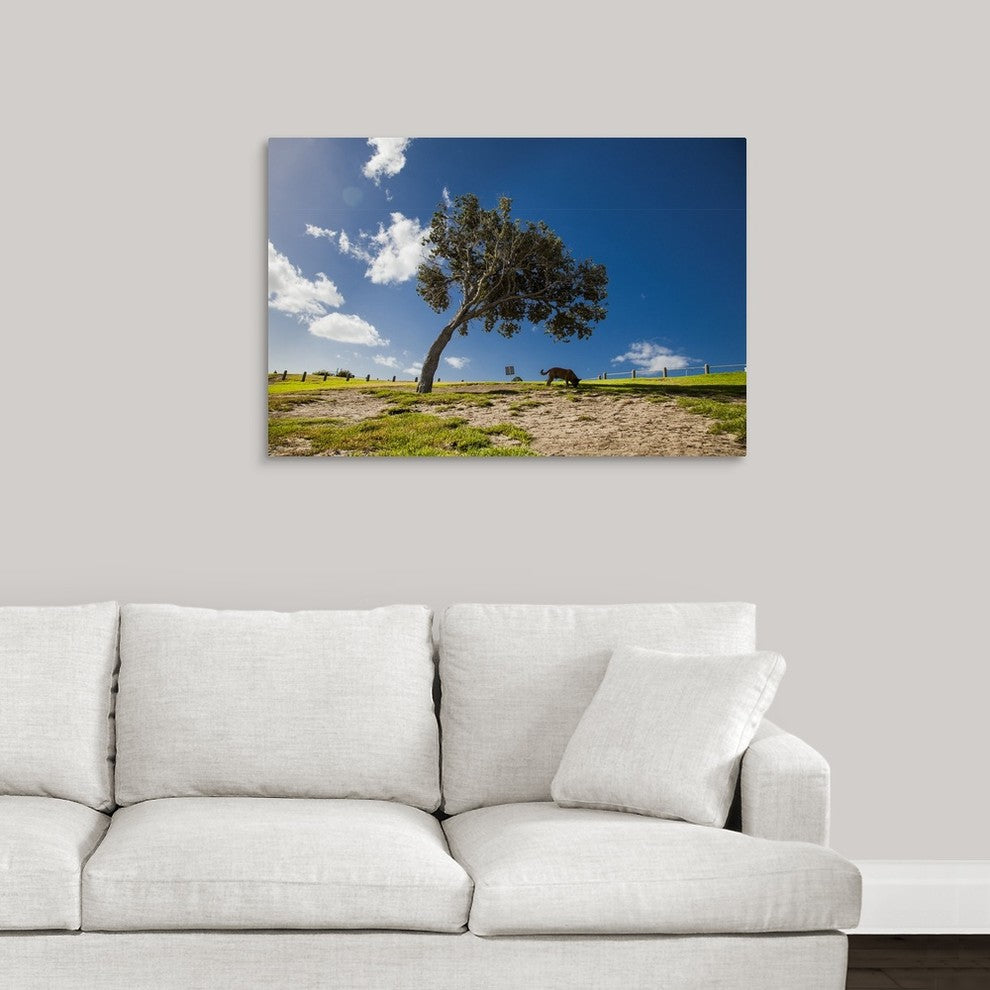 "Important Business" Wrapped Canvas Art Print, 36"x24"x1.5"