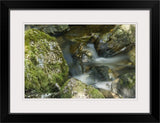 "Cradle Mountain Stream" Black Framed Art Print, 26"x20"x1"