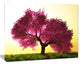 Cherry Blossom in Beautiful Garden, Landscape Canvas Art Print, 40"x30"