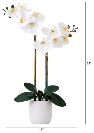 26in. Artificial Double Orchid Phalaenopsis with Decorative Vase (Real Touch)