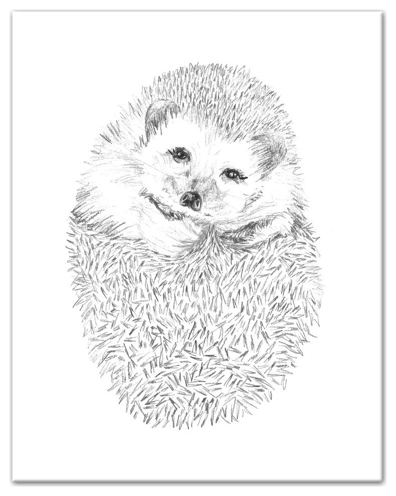 Cute Hedgehog 11x14 Canvas Wall Art