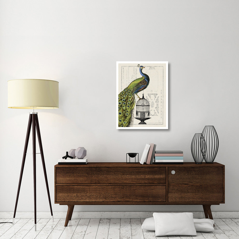 "Peacock Birdcage I" Digital Paper Print by Sue Schlabach, 26"x34"