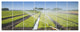 Beautiful View of Crops Watering, Landscape Canvas Art Print, 83"x32", 7 Panels