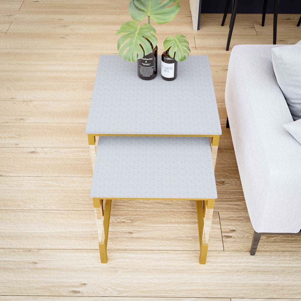 Cortesi Home Annidarsi Square Nesting Tables with Clear Acrylic Legs, 2-Piece Se