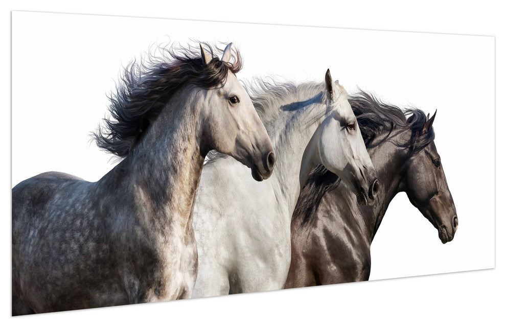 Horse Glass Wall Art Frameless Free Floating Tempered Glass Print, 24" x 63"