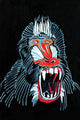 "Mandrill" Print on Canvas