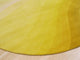 Yellow Contemporary Abstract Desertland Area Rug