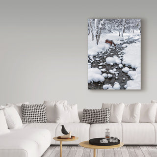 Hua Zhu 'Drinking In Snow' Canvas Art, 24"x18"